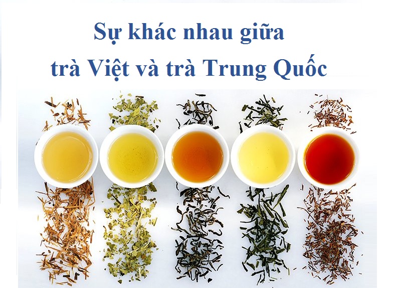 Sự khác nhau giữa trà Việt và trà Trung Quốc