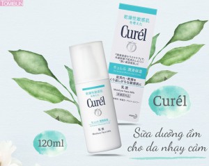 SỮA DƯỠNG DA CURÉL INTENSIVE MOISTURE CARE MOISTURE FACIAL MILK CẤP ẨM CHUYÊN SÂU 