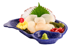 Japanese Scallop