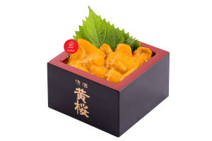 Uni Sashimi