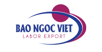 Công ty cổ phần nhân lực Bảo Ngọc Việt