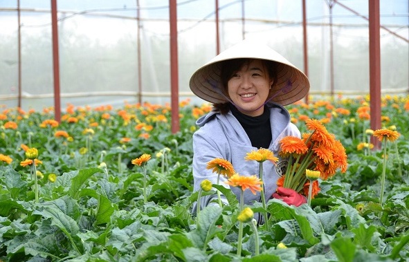 Đơn hàng nông nghiệp Đài Loan