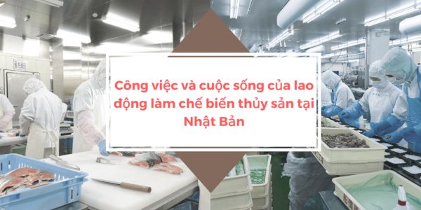 Điều kiện và Quyền lợi khi xuất khẩu lao động Nhật Bản ngành thủy sản mới 2022