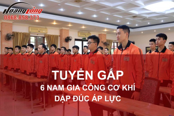 6 NAM TTS GIA CÔNG CƠ KHÍ, DẬP ĐÚC ÁP LỰC