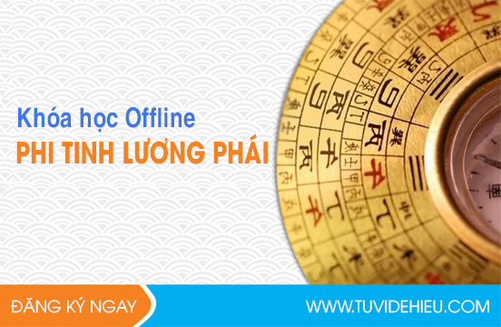 Khóa học offline Phi tinh Lương phái