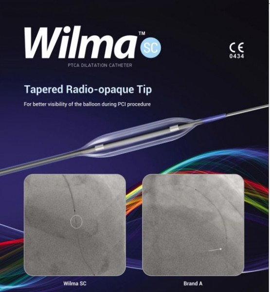 Semi-compliant PTCA Balloon Dilatation Catheter