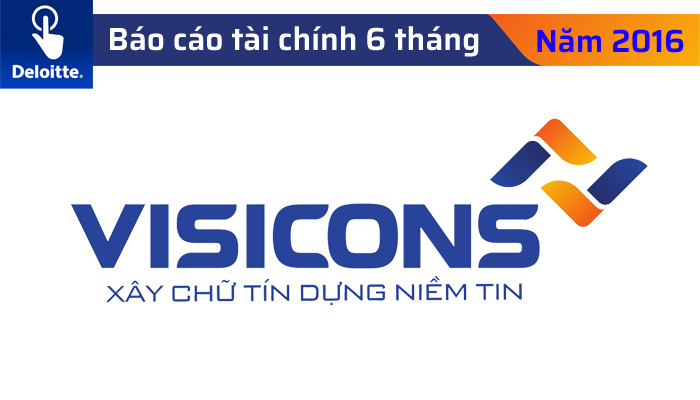 Báo cáo tài chính giữa niên độ đã được soát xét năm 2016