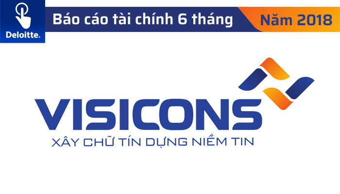 Báo cáo tài chính giữa niên độ đã được soát xét năm 2018