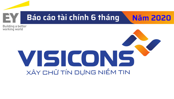 Báo cáo tài chính giữa niên độ đã được soát xét năm 2020