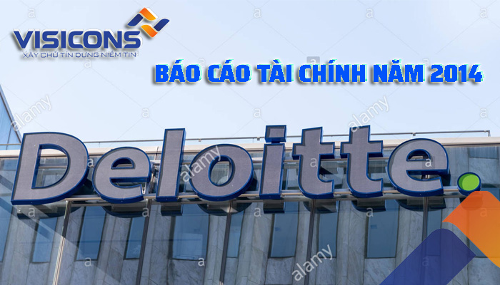 Báo cáo Tài chính đã qua kiểm toán cho năm tài chính kết thúc ngày 31/12/2014